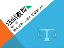 健康教育【武汉版】五年级第二十九课《做遵纪守法好公民1》PPT课件