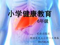 健康教育【武汉版】五年级第二十三课《病毒性肝炎的预防1》PPT课件