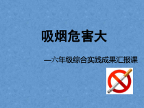 健康教育【武汉版】六年级第二十课《吸烟危害大3》PPT课件