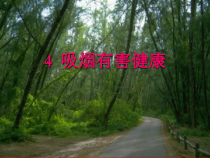 健康教育【武汉版】六年级第二十课《吸烟危害大4》PPT课件