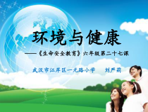 健康教育【武汉版】六年级第二十七课《环境与健康2》PPT课件