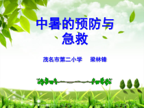 健康教育【武汉版】六年级第二十一课《预防中暑1》PPT课件