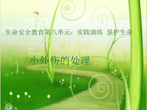 健康教育【武汉版】六年级第三十一课《小外伤的处理2》PPT课件