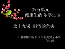 健康教育【武汉版】六年级第十九课《酗酒的危害2》PPT课件