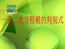 《2.3 一元二次方程根的判别式》PPT课件1-九年级上册数学湘教版