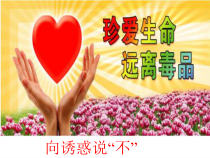 心理健康【辽大版】五年级上册5《向诱惑说“不”》PPT课件4(共27页)