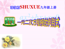 《2.3 一元二次方程根的判别式》PPT课件3-九年级上册数学湘教版