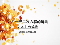 《2.2.2公式法》PPT课件1-九年级上册数学湘教版