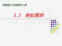 《3.3 相似图形》PPT课件4-九年级上册数学湘教版