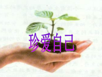 心理健康【全国通用】六年级下册《珍爱自己》PPT课件(共31页)