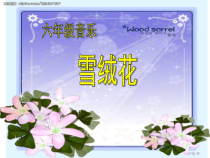 音乐【辽海版】六年级上册《3. 演唱 雪绒花》PPT课件3