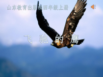 音乐【鲁教版（五四制）】四年级上册《欣赏 飞驰的鹰 凯皮拉的小火车 尼罗河主题曲》PPT课件1