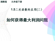 《1.5 二次函数的应用》PPT课件3-九年级下册数学湘教版