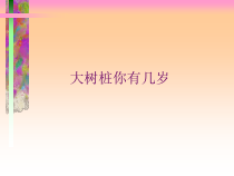 音乐【人教版新课标】三年级上册第六单元《大树桩你有几岁》PPT课件 (共21页)