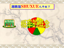 《4.2.1概率的概念》PPT课件1-九年级下册数学湘教版