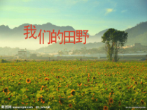 音乐【人教版】四年级上册《唱歌　我们的田野》PPT课件 (2)