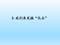 小学科学湘科版六年级下册第二单元第3课《我们来发掘“化石”》课件（2023春）