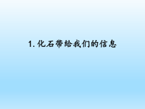 小学科学湘科版六年级下册第二单元第1课《化石带给我们的信息》课件（2023春）