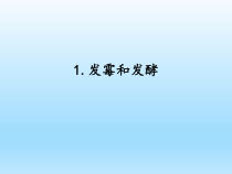 小学科学湘科版五年级下册第二单元第1课《发霉和发酵》课件（2023春）
