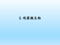 小学科学湘科版五年级下册第二单元第2课《观察微生物》课件（2023春）