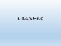 小学科学湘科版五年级下册第二单元第3课《微生物和我们》课件（2023春）
