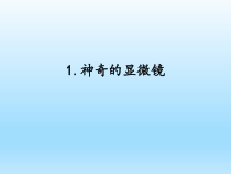 小学科学湘科版五年级下册第一单元第1课《神奇的显微镜》课件（2023春）
