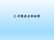 小学科学湘科版五年级下册第一单元第2课《洋葱表皮的秘密》课件（2023春）