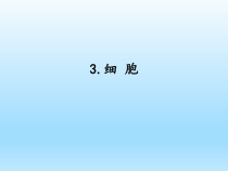 小学科学湘科版五年级下册第一单元第3课《细胞》课件（2023春）