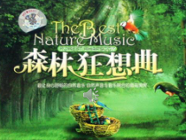 音乐【人教版】五年级上册《欣赏　森林狂想曲》PPT课件 (4)