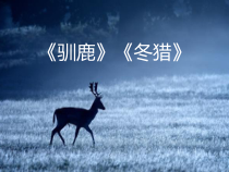 音乐【人教版】五年级下册《驯鹿》PPT课件