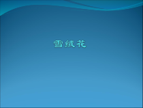 音乐【人教版】六年级上册（五线谱）《活动　雪绒花》PPT课件