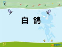 音乐【人教版】三年级上册（五线谱）《唱歌　白鸽》PPT课件 (2)