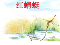 音乐【人教版】四年级下册（五线谱）《红蜻蜓》PPT课件 (5)