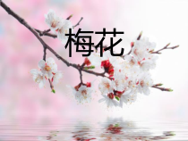 音乐【人教版】五年级下册（五线谱）《梅花》PPT课件 (5)