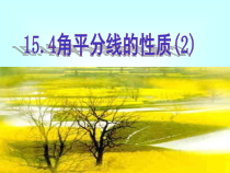 《角平分线的性质定理》PPT课件2-八年级上册数学沪科版