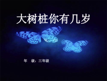 音乐【人音版（五线谱）】三年级下册《大树桩你有几岁》PPT课件2