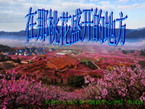 音乐【人音版（五线谱）】三年级下册《在那挑花盛开的地方》PPT课件1