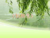 音乐【人音版（五线谱）】四年级上册《演唱 杨柳青》PPT课件3