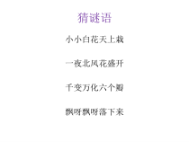 音乐【人音版（五线谱）】五年级上册《演唱 雪花带来冬天的梦》PPT课件3