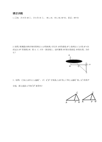 《三角形全等的判定定理24-八年级上册数学沪科版
