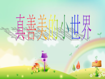 音乐【人音版（五线谱）】五年级下册《真善美的小世界》PPT课件5