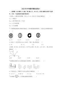 2023年中考数学模拟试卷十（含答案）