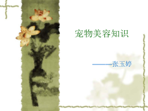 宠物美容知识汇总课件