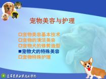 宠物美容与护理教材(-63张)课件