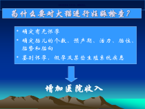 B超在犬猫妊娠诊断中的运用课件