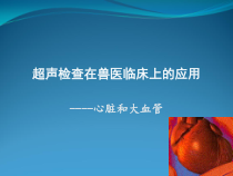 超声检查在兽医临床上应用-心脏课件