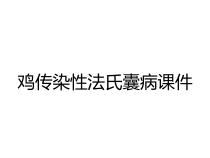 鸡传染性法氏囊病课件