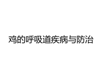 鸡的呼吸道疾病与防治课件