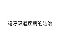 鸡呼吸道疾病的防治课件