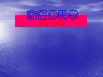家畜外科感染(兽医学)课件